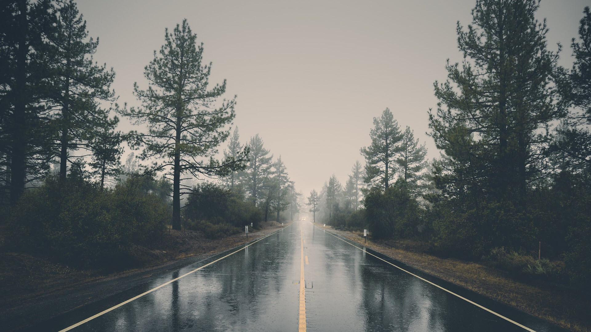 Rain and Recurring Issues