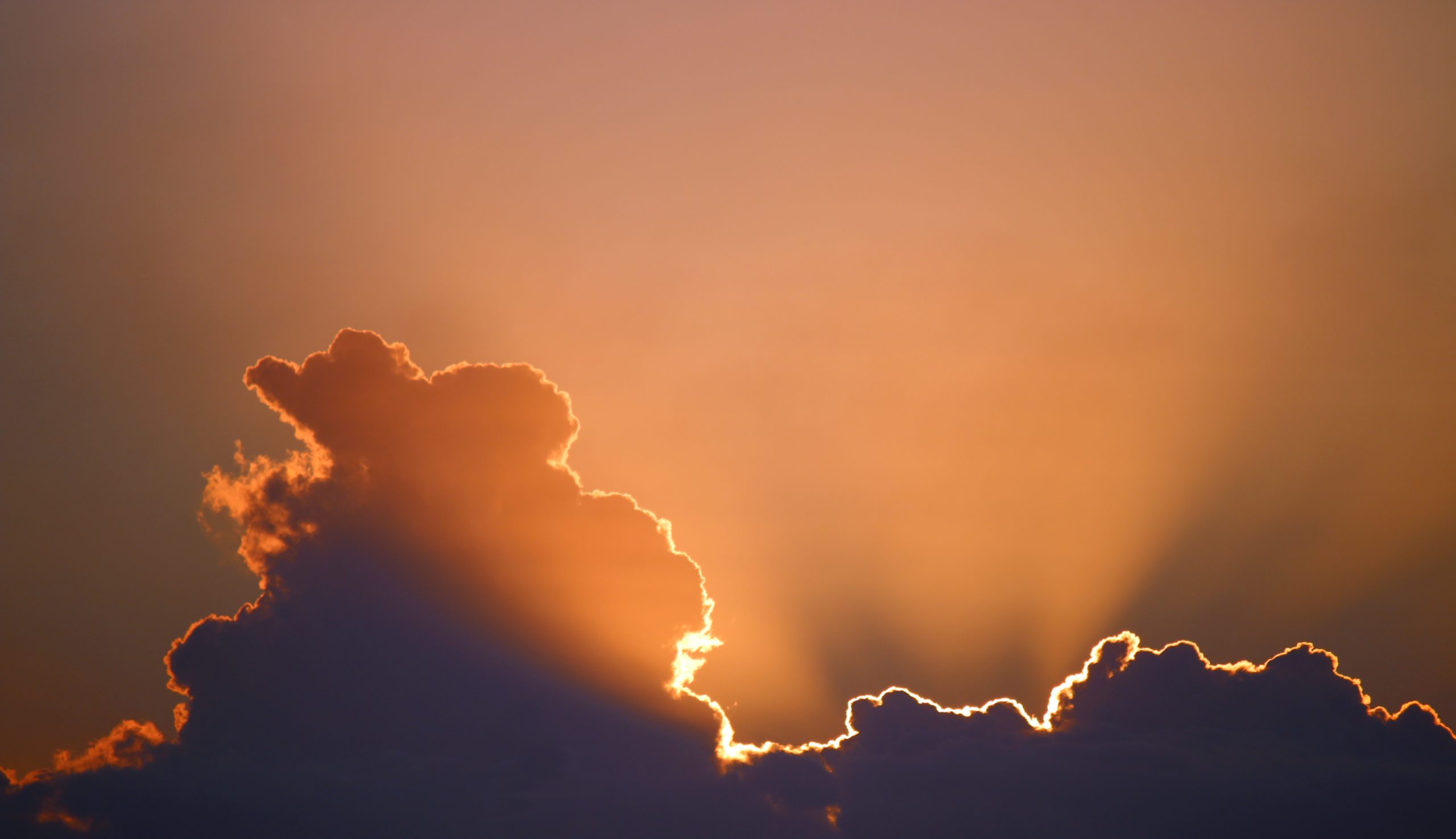 Are you God or a priest?
